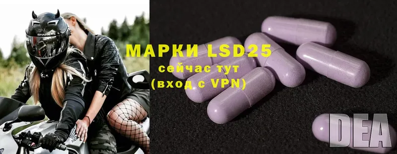 купить наркоту  OMG зеркало  даркнет телеграм  Вязники  LSD-25 экстази ecstasy 